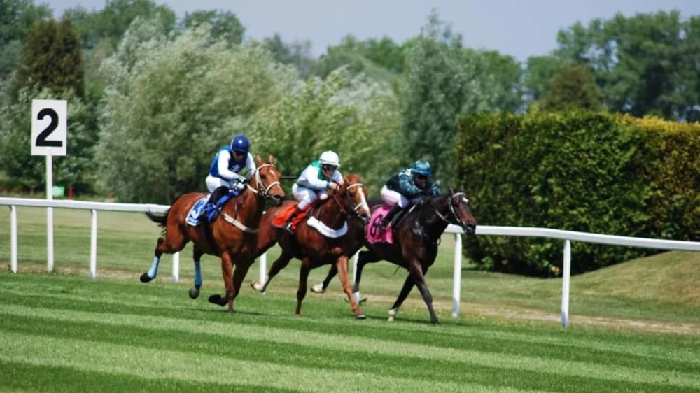 Dynamic Spread Betting in Horse Racing