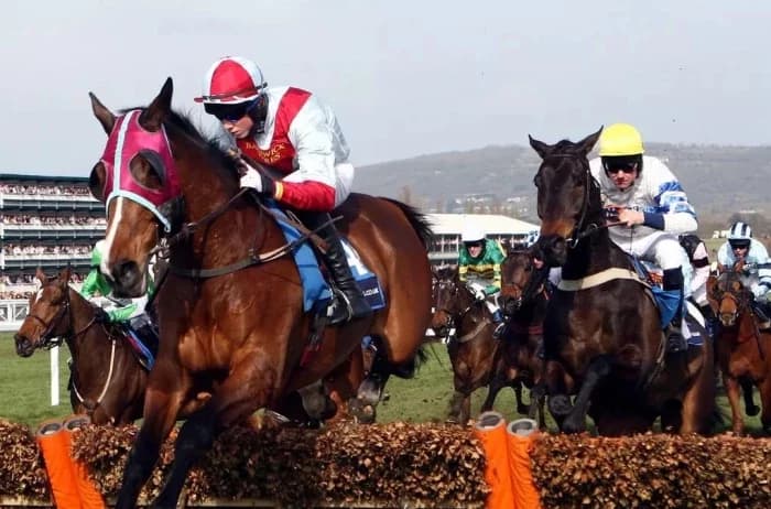 Mastering Trifecta Betting: Strategies for Success