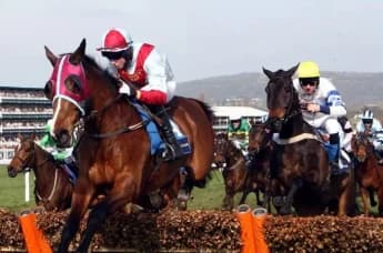 Mastering Trifecta Betting: Strategies for Success