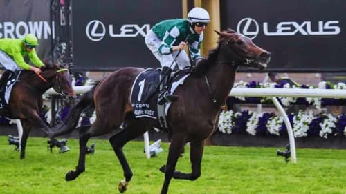 Mastering Head-to-Head Betting in Horse Racing