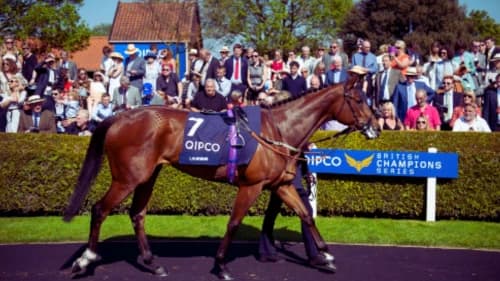 Understanding Horse Behavior in the Parade Ring