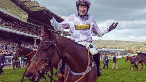 Betting on Unusual Race Incidents: A Guide