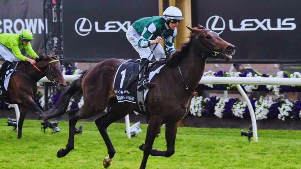 Mastering Head-to-Head Betting in Horse Racing