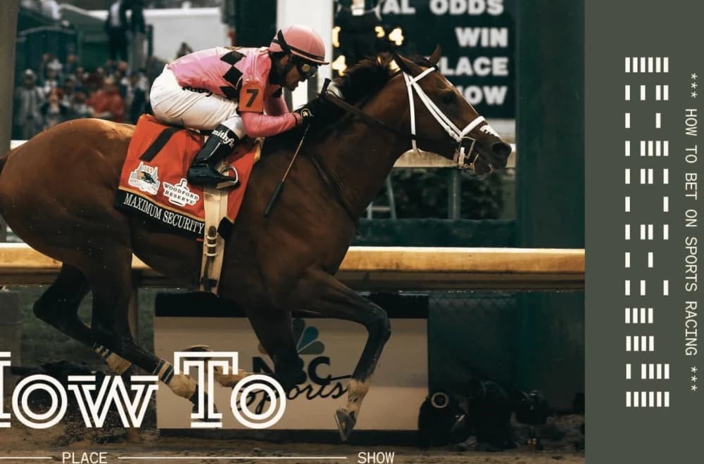 Discover the Excitement of Trifecta Betting on Horses