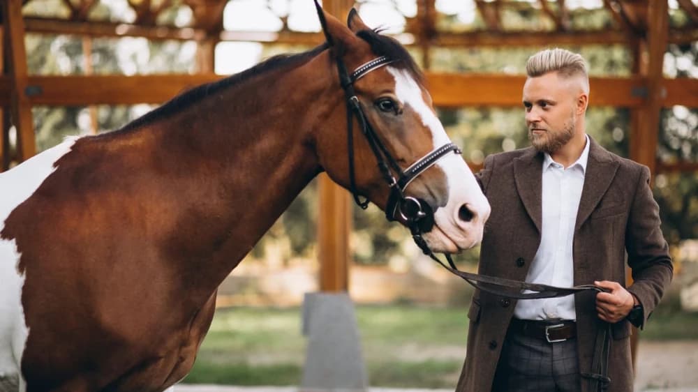 Live Betting in Horseracing: An Exciting New Era